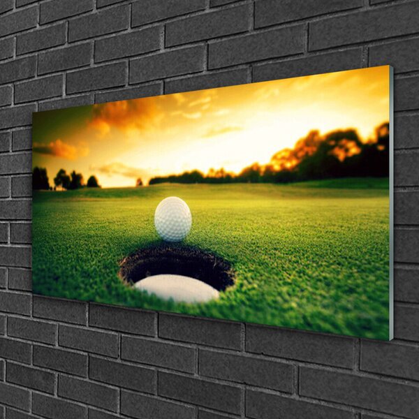 Obraz na skle Golfový loptička tráva príroda 100x50 cm 2 Prívesky