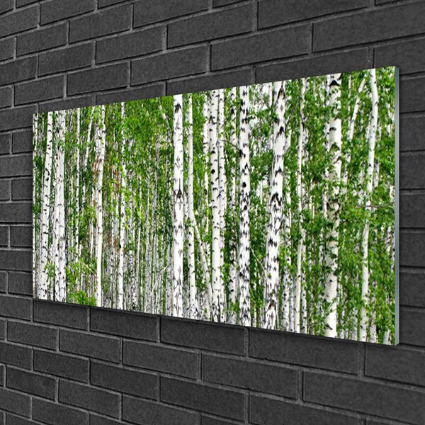 Obraz na skle Breza les stromy príroda 100x50 cm 2 Prívesky