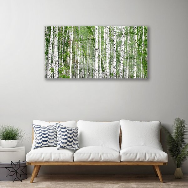 Obraz na skle Breza les stromy príroda 100x50 cm 2 Prívesky