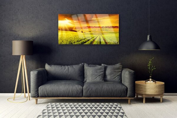 Obraz na skle Pole západ slnka krajina 100x50 cm 2 Prívesky
