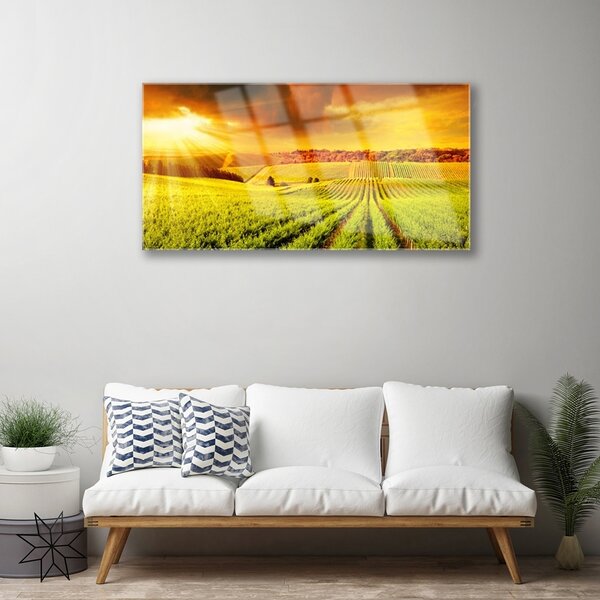 Obraz na skle Pole západ slnka krajina 100x50 cm 2 Prívesky