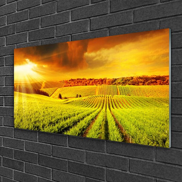 Obraz na skle Pole západ slnka krajina 100x50 cm 2 Prívesky