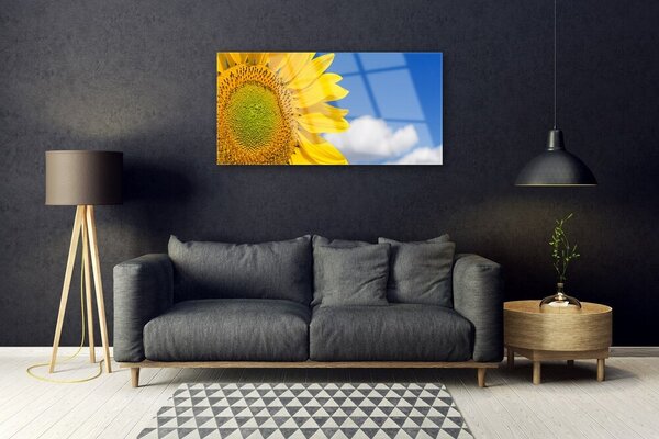 Obraz na skle Slnečnica mraky 100x50 cm 2 Prívesky