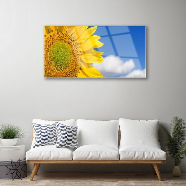 Obraz na skle Slnečnica mraky 100x50 cm 2 Prívesky