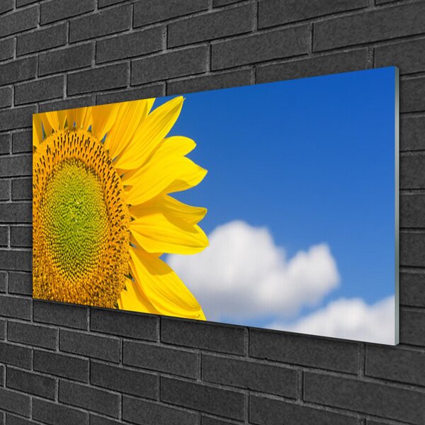 Obraz na skle Slnečnica mraky 100x50 cm 2 Prívesky