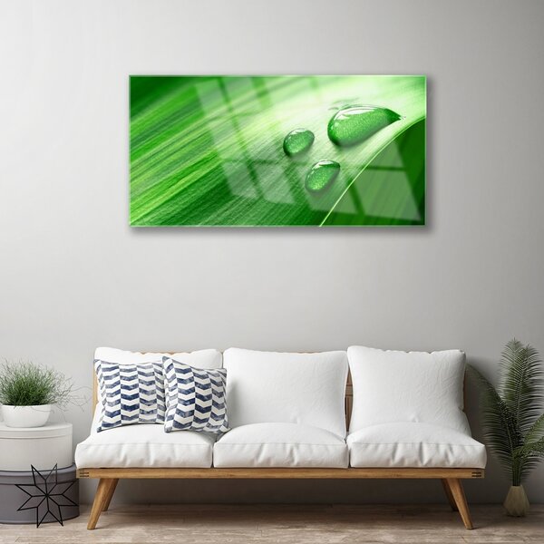 Obraz na skle List voda kvapka 100x50 cm 2 Prívesky