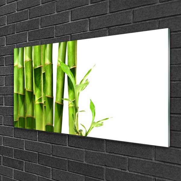 Obraz na skle Bambus rastlina 100x50 cm 2 Prívesky