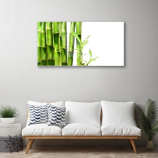 Obraz na skle Bambus rastlina 100x50 cm 2 Prívesky