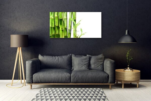 Obraz na skle Bambus rastlina 100x50 cm 2 Prívesky