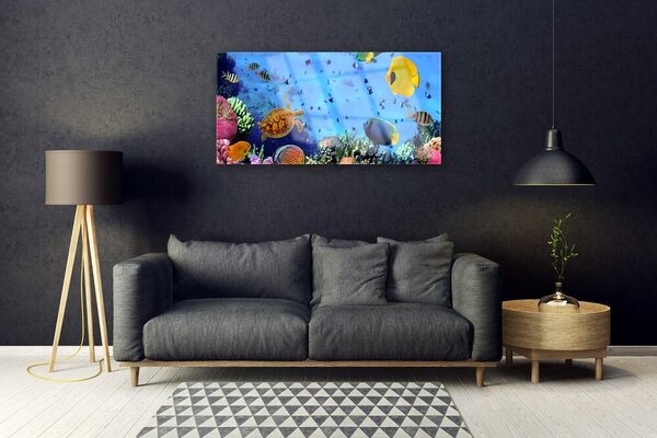 Obraz na skle Koralový útes ryba príroda 100x50 cm 2 Prívesky