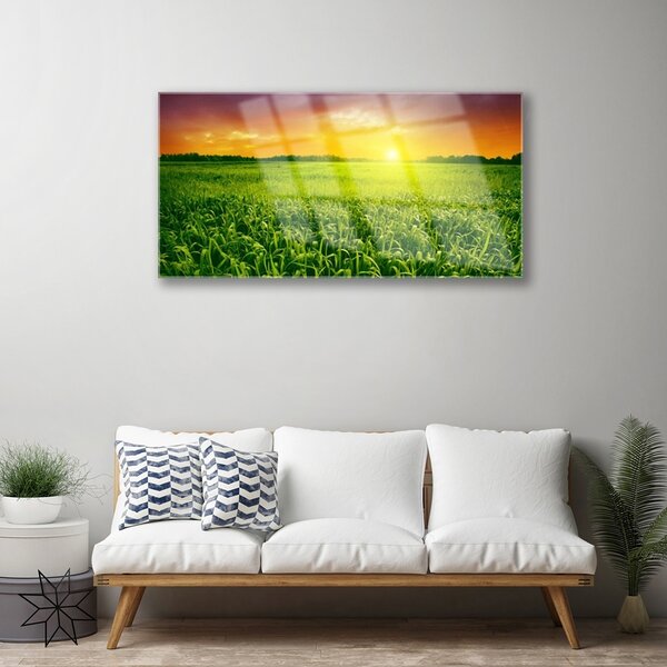 Obraz na skle Obilie pole východ slnka 100x50 cm 2 Prívesky