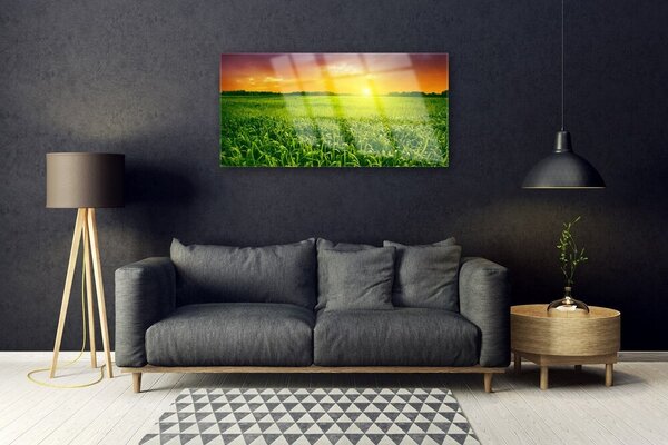 Obraz na skle Obilie pole východ slnka 100x50 cm 2 Prívesky