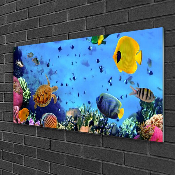 Obraz na skle Koralový útes ryba príroda 100x50 cm 2 Prívesky
