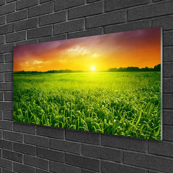 Obraz na skle Obilie pole východ slnka 100x50 cm 2 Prívesky