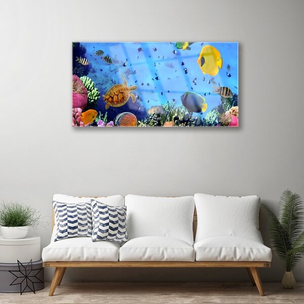 Obraz na skle Koralový útes ryba príroda 100x50 cm 2 Prívesky