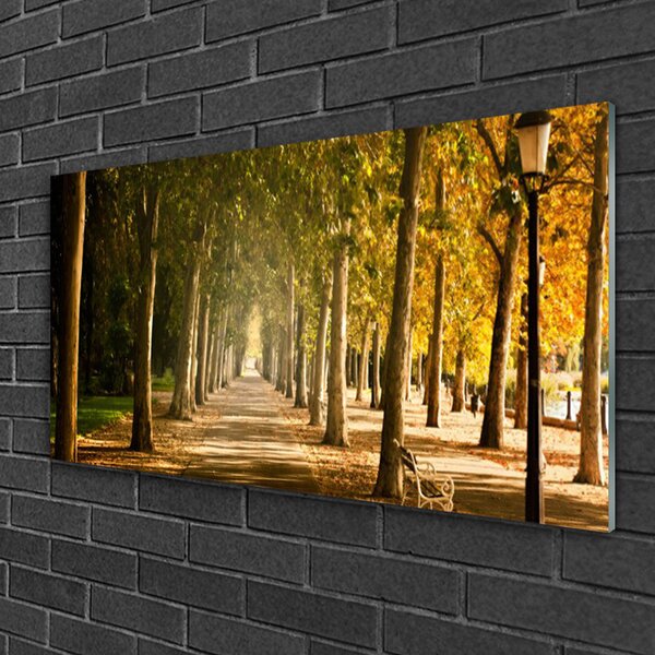 Obraz na skle Park alej príroda 100x50 cm 2 Prívesky
