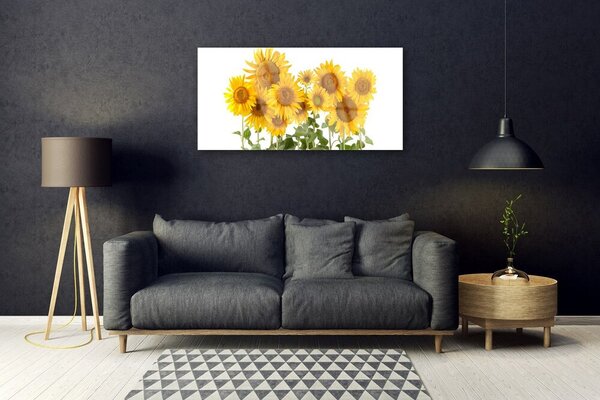 Obraz na skle Slnečnica 100x50 cm 2 Prívesky