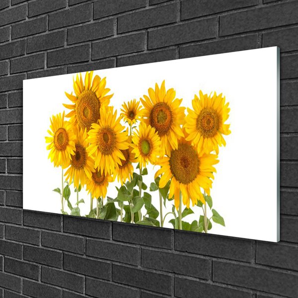 Obraz na skle Slnečnica 100x50 cm 2 Prívesky