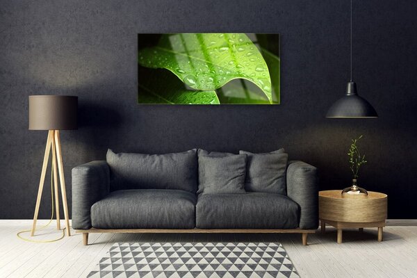 Obraz na skle Rosa kvapka list 100x50 cm 2 Prívesky