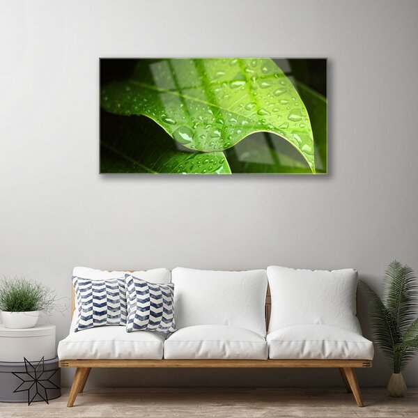 Obraz na skle Rosa kvapka list 100x50 cm 2 Prívesky