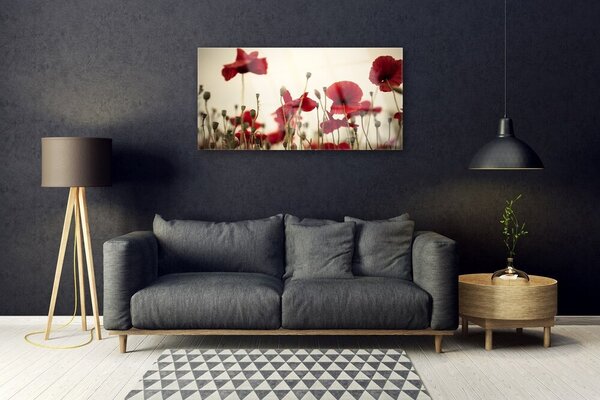Obraz na skle Maky 100x50 cm 2 Prívesky