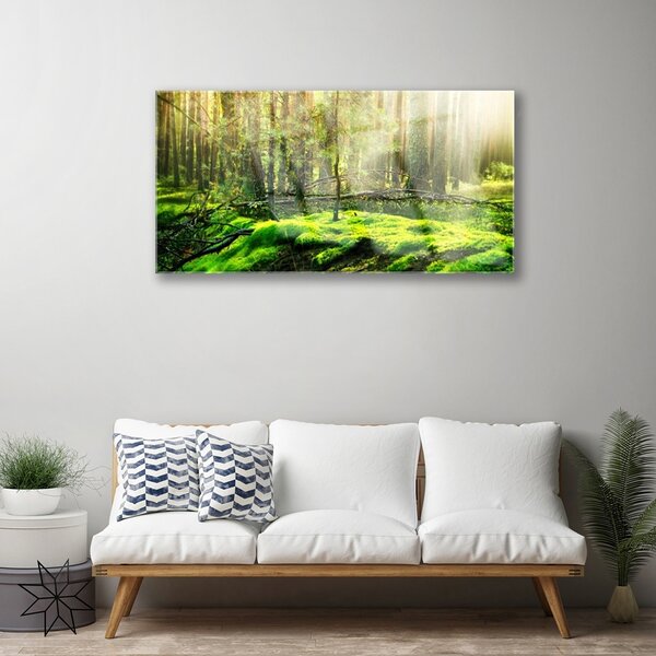 Obraz na skle Mech les príroda 100x50 cm 2 Prívesky