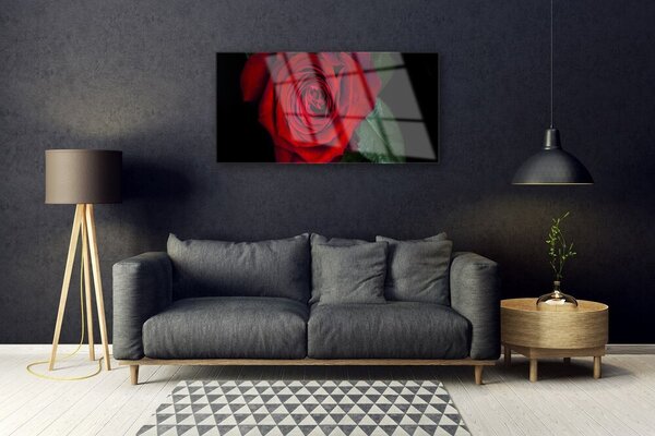 Obraz na skle Ruže 100x50 cm 2 Prívesky