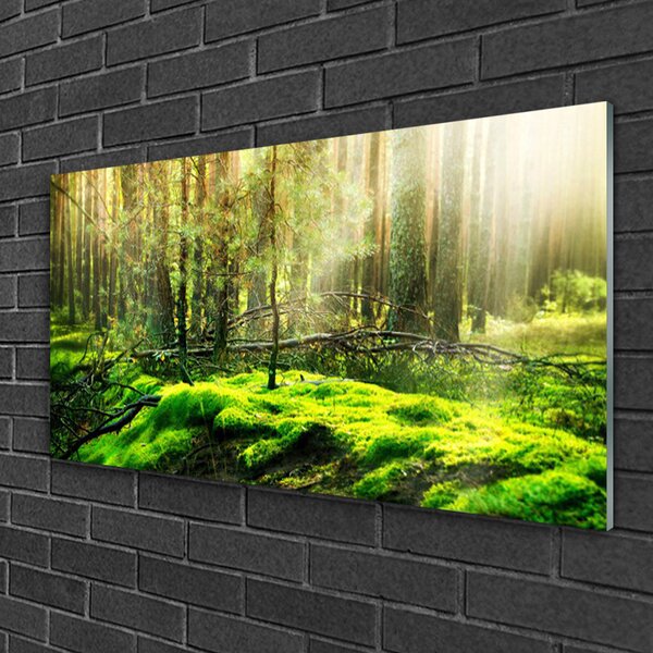 Obraz na skle Mech les príroda 100x50 cm 2 Prívesky