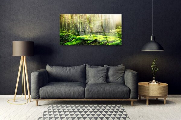 Obraz na skle Mech les príroda 100x50 cm 2 Prívesky