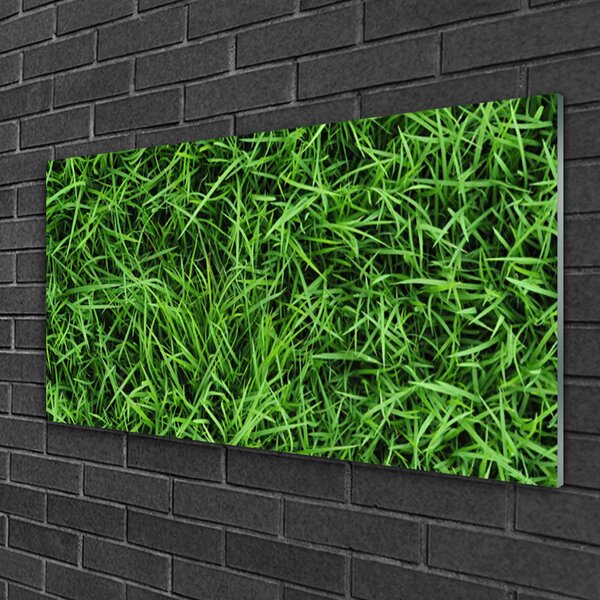 Obraz na skle Tráva trávnik 100x50 cm 2 Prívesky