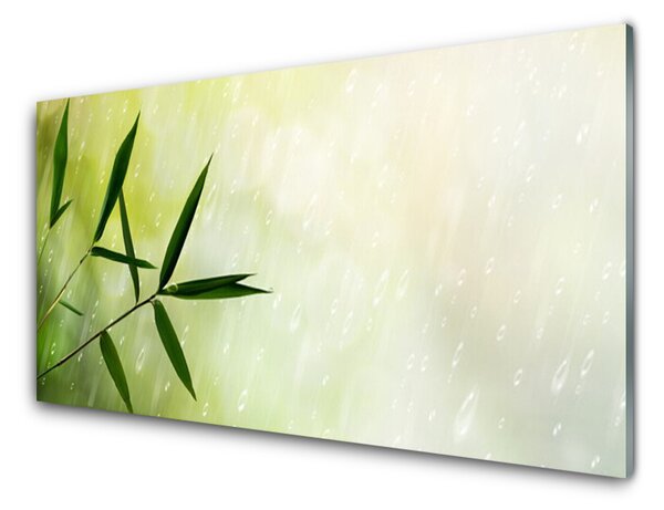 Nástenný panel  Listy dážď 100x50 cm
