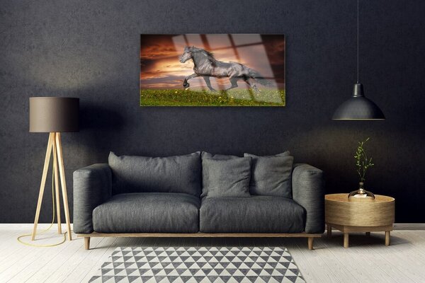 Obraz na skle Čierny kôň lúka zvieratá 100x50 cm 2 Prívesky