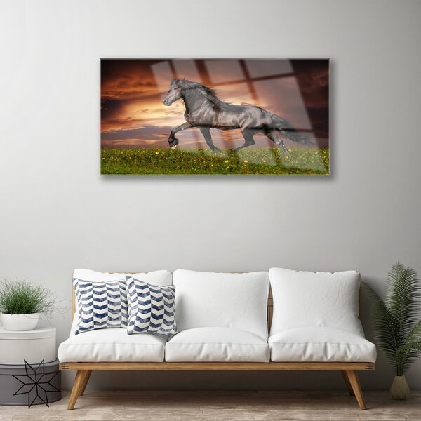 Obraz na skle Čierny kôň lúka zvieratá 100x50 cm 2 Prívesky