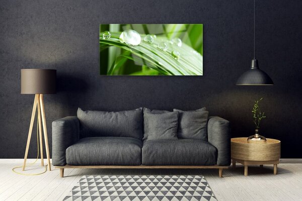 Obraz na skle List rosa kvapky 100x50 cm 2 Prívesky