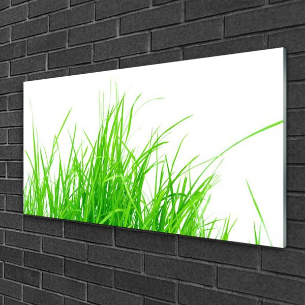 Obraz na skle Tráva 100x50 cm 2 Prívesky