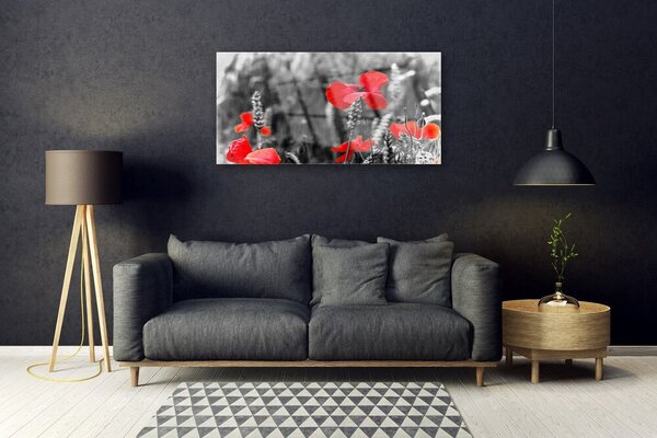 Obraz na skle Maky 100x50 cm 2 Prívesky