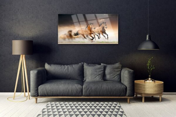 Obraz na skle Kone zvieratá 100x50 cm 2 Prívesky