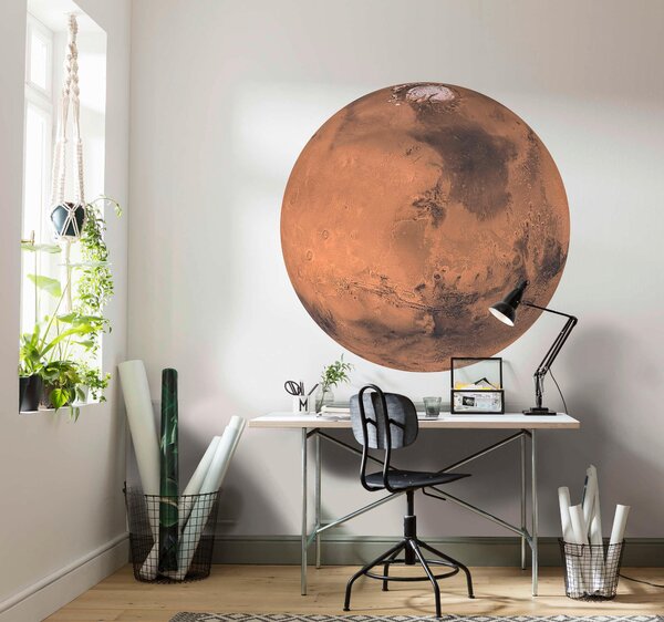 FOTOTAPETA velikost: 125 cm Komar - Online Only bytové doplnky, Online Only
