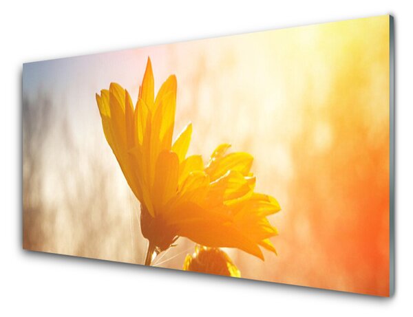 Obraz na akrylátovom skle Slnečnica 140x70 cm 4 Prívesky