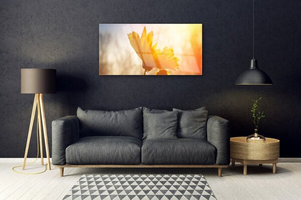 Obraz na skle Slnečnica 100x50 cm 2 Prívesky