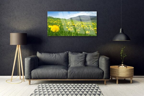 Obraz na skle Púpava príroda 100x50 cm 2 Prívesky