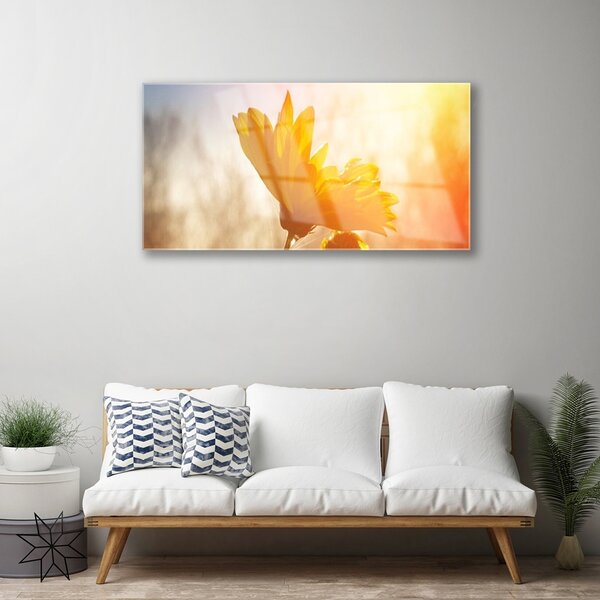 Obraz na skle Slnečnica 100x50 cm 2 Prívesky
