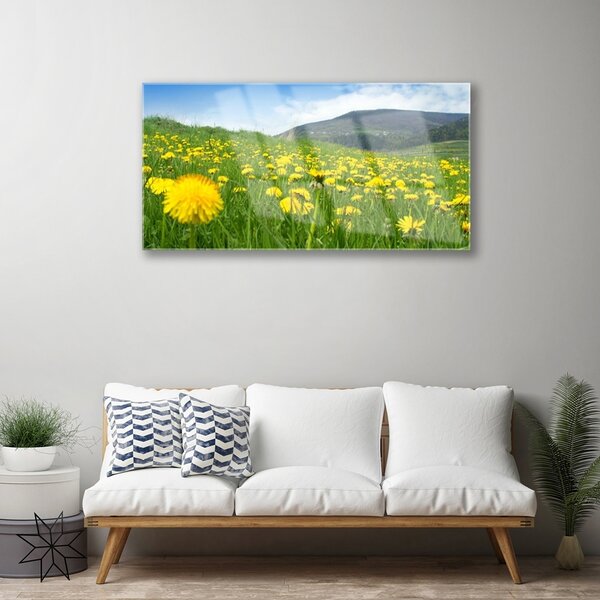 Obraz na skle Púpava príroda 100x50 cm 2 Prívesky