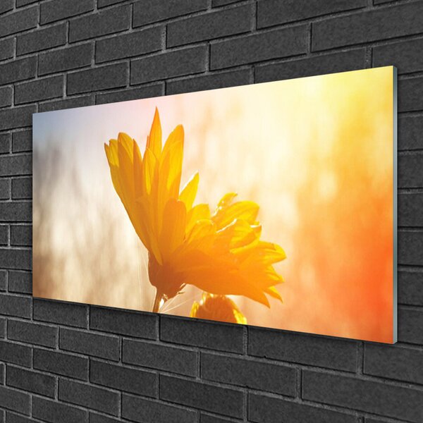 Obraz na skle Slnečnica 100x50 cm 2 Prívesky