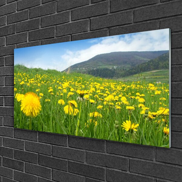 Obraz na skle Púpava príroda 100x50 cm 2 Prívesky