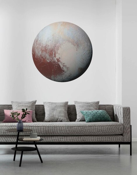 FOTOTAPETA velikost: 125 cm Komar - Online Only bytové doplnky, Online Only