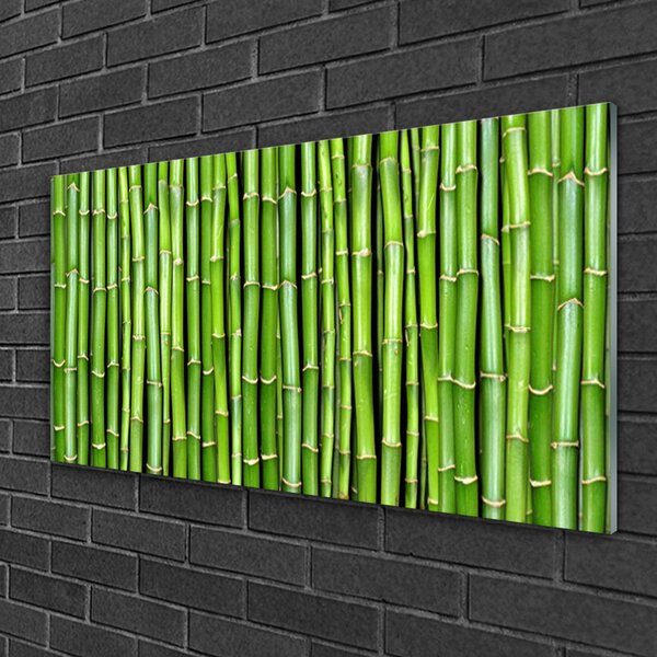 Obraz na skle Bambus kvet rastlina 100x50 cm 2 Prívesky