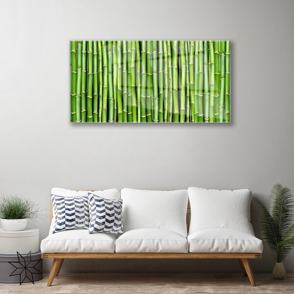 Obraz na skle Bambus kvet rastlina 100x50 cm 2 Prívesky