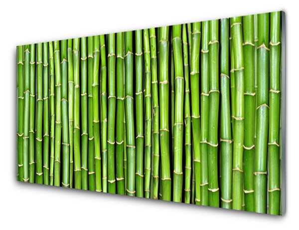 Nástenný panel  Bambus kvet rastlina 125x50 cm