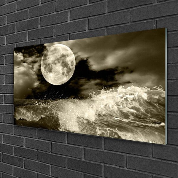 Obraz na skle Noc mesiac príroda 100x50 cm 2 Prívesky